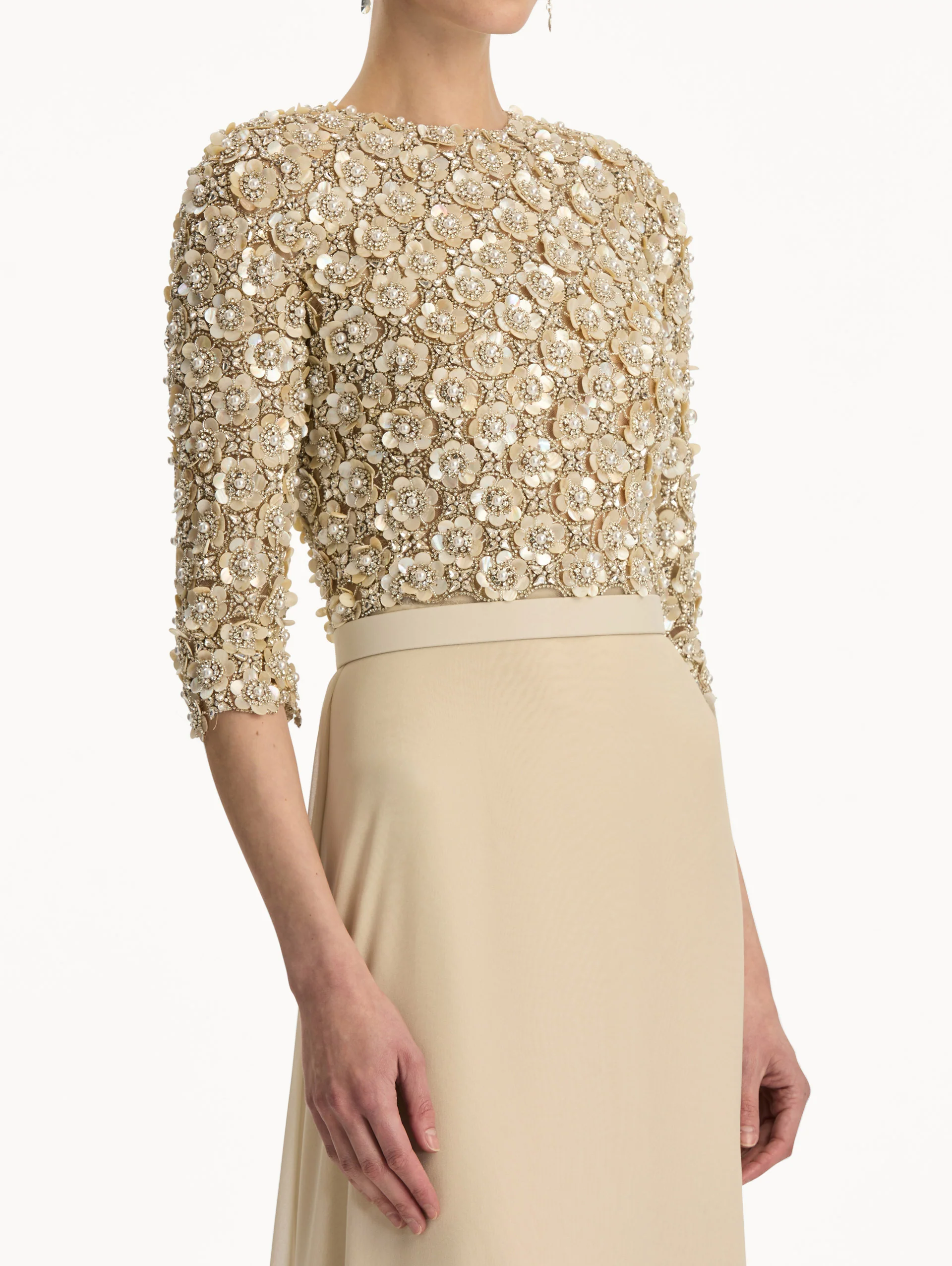 Mother of Pearl Embroidered Gown - Image 5