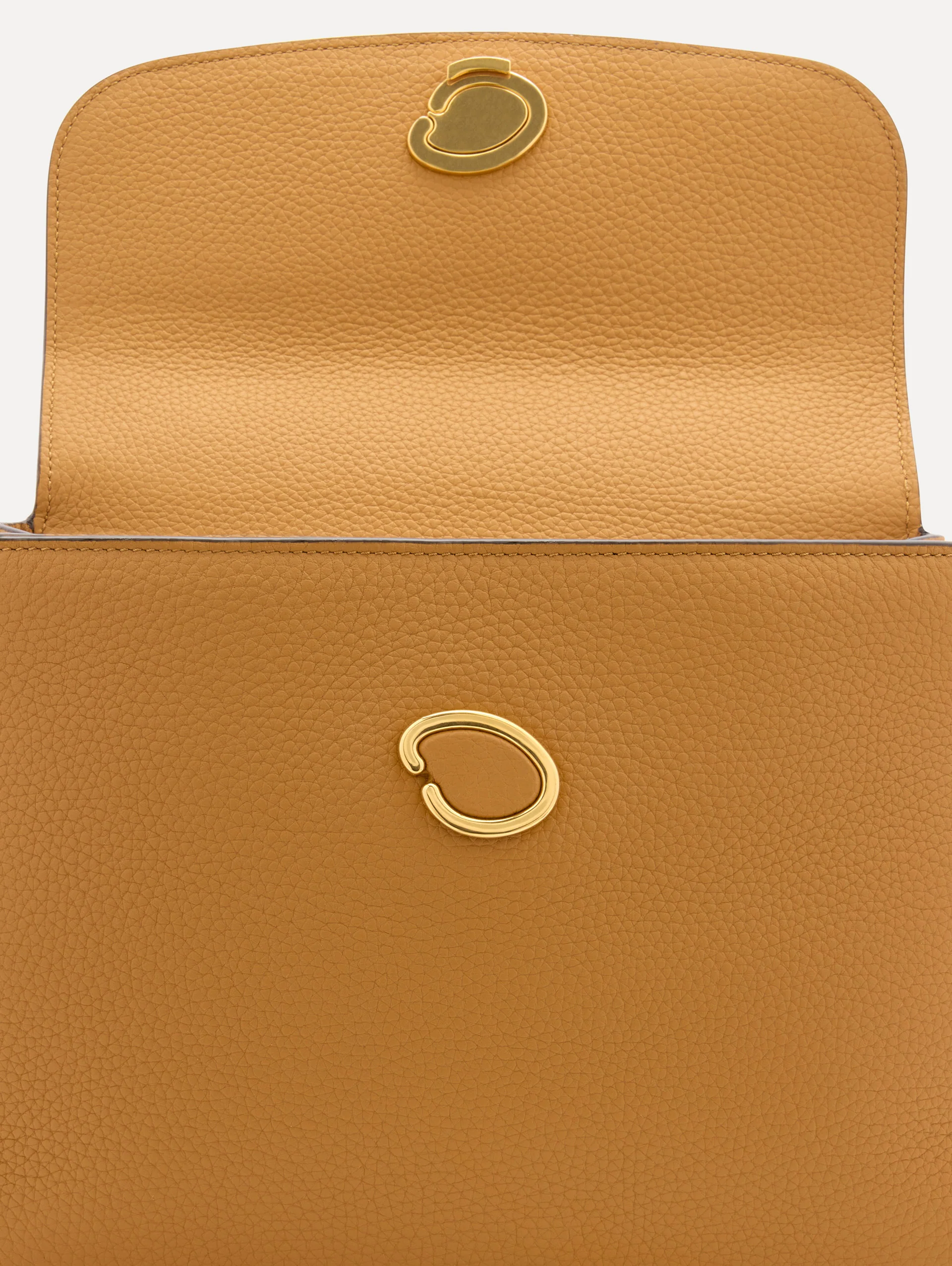 The Poppy - Image 5